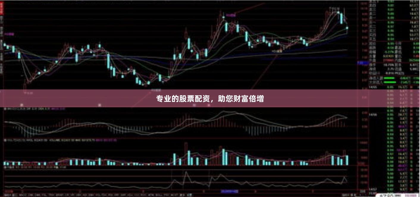 专业的股票配资，助您财富倍增