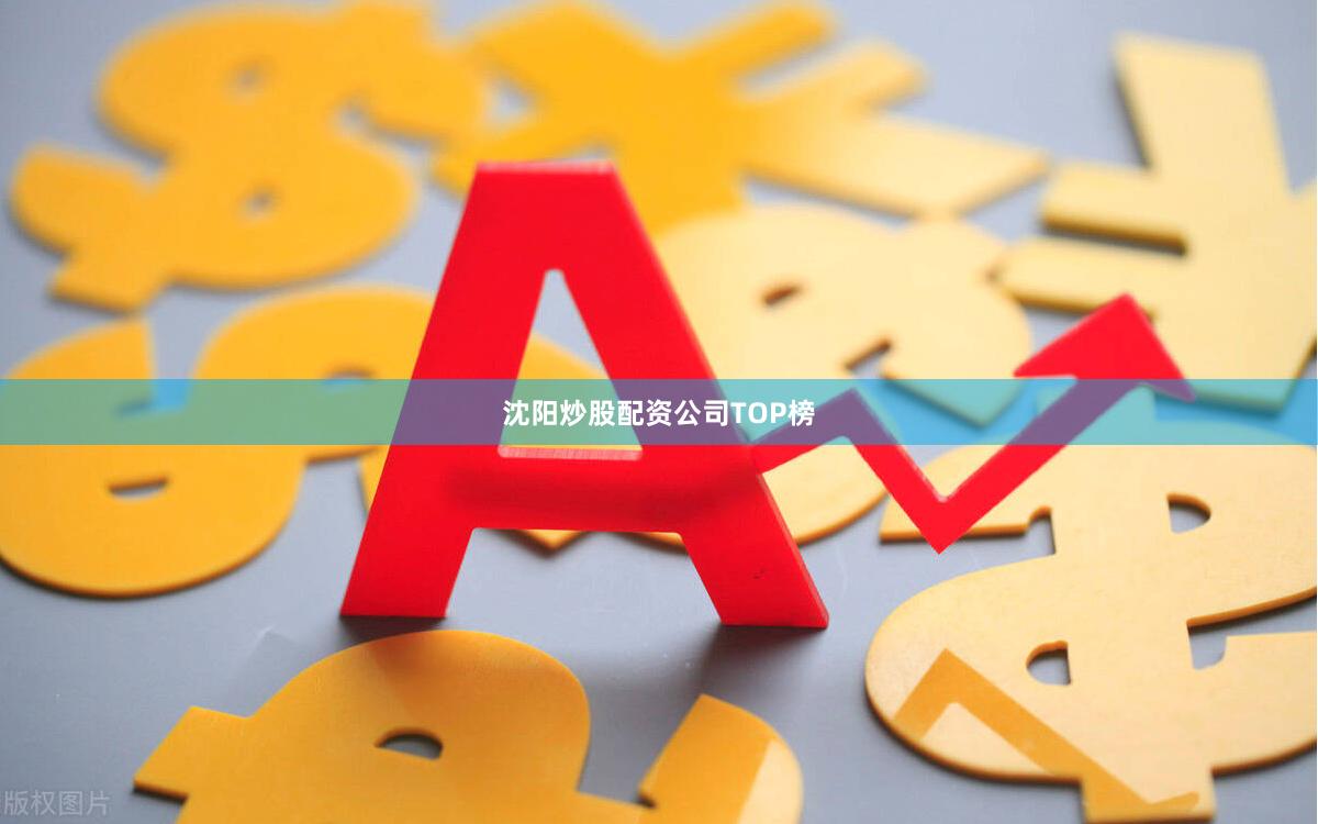 沈阳炒股配资公司TOP榜