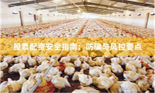 股票配资安全指南：防骗与风控要点